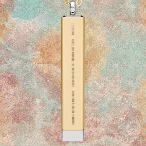 18K Gold PVD Coating / Stainless Steel